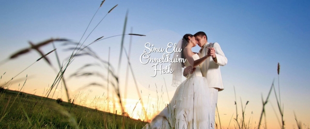 11008621_807295572652870_5286360404916845956_o