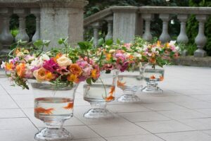 11223353_403834489814277_5899549632479940914_o