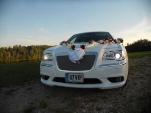 13962500_1012171018897020_2241816364875877367_n