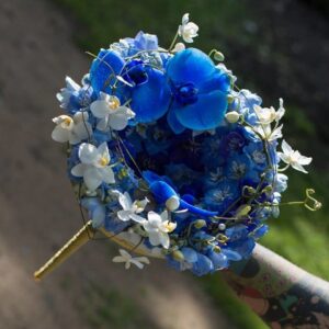 14064129_529793747218350_4838286145775391123_n