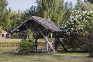 15Jun2023_190551_IMG_2242_photoSilverGutmann