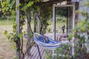 15Jun2023_194800_IMG_2538_photoSilverGutmann