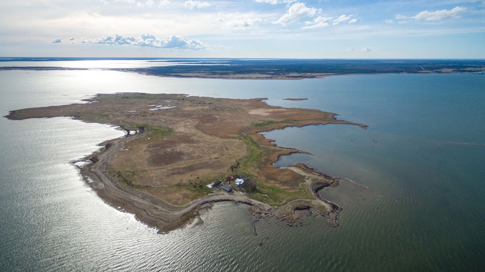 18557222_1889878634622663_6546471101545908714_n