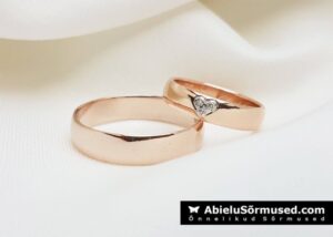 20121579_1904578233196396_7131208051675848903_o