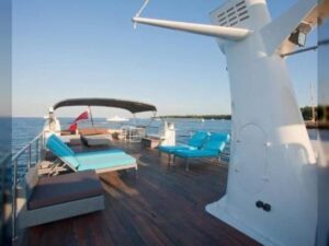 5646390_20160221091136561_1_large-495x400-1