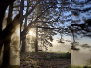 Ilmaveere – pulm Setomaa südames