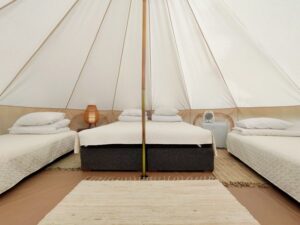 Majutus-Metsaluige-glampingus