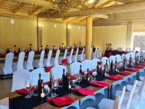 Pulmalaud-punane-teema-Metsaluige