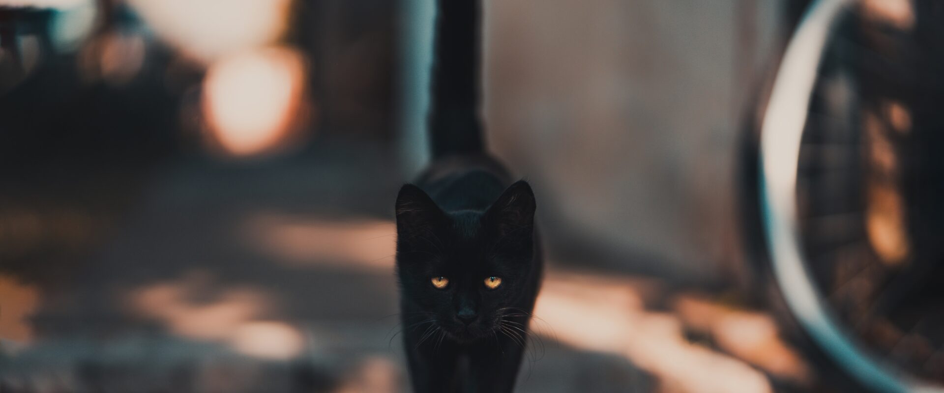 Usk ja ebausk pulmades - uskuda või mitte, aga pigem mitte