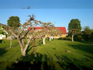 Hindreku talu ja peomaja