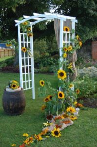 Külalistemaja Vehendi Motell