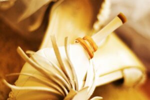 kataloog-elena-savochkina-1674740