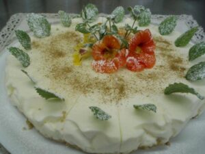 kataloog-harmoonikum-ou-1671080