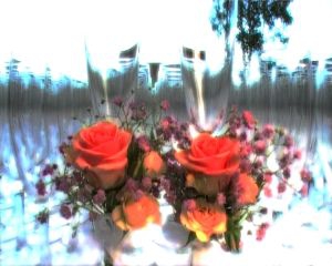 kataloog-momentor-pulmavideo-1649397