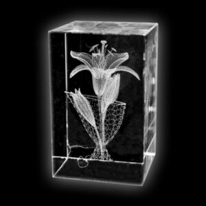 kataloog-nodiee-1671553