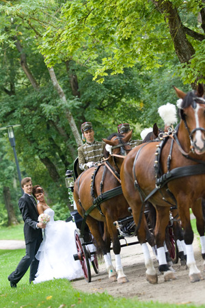 kataloog-rakvere-fotostuudio-1665803
