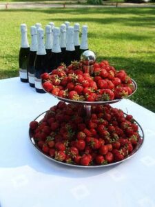 kataloog-taevaskoja-puhkekeskus-kaunis-pulmakoht-louna-eestis-1668809