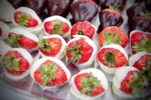 kataloog-tervise-catering-agt-stuudio-ou-1669499