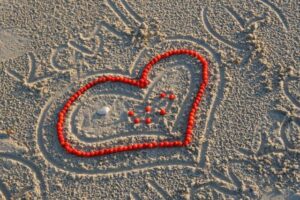 kataloog-villa-andropoff-1664410