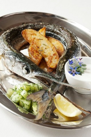 kuressaarekuursaal_garfish