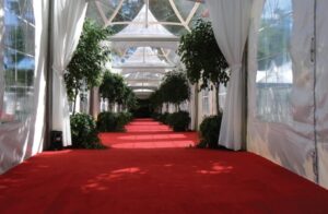 telgi_sissepaas_vaibaga