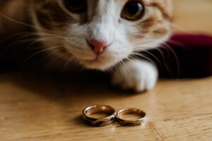 Capturewithcarolina-385_optimized_1000