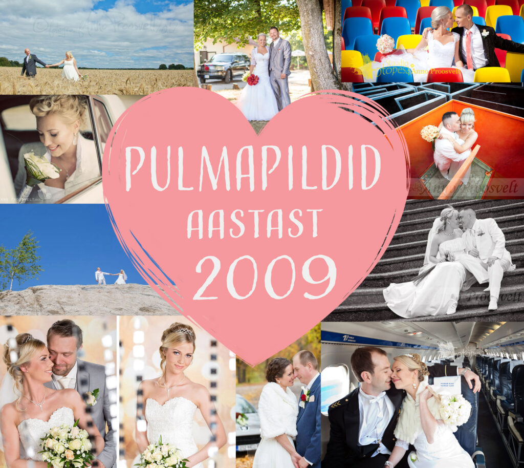 Pulmapildid
